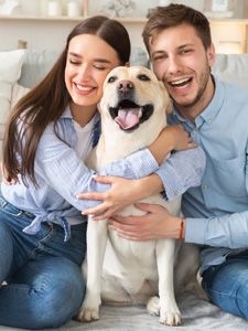 Pet Tribute